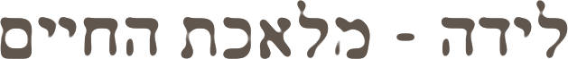 לידה - מלאכת החיים